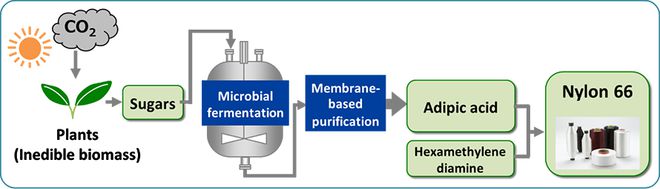 必威 betway必威日本化工巨头东丽以不可食用生物质为原料开发出全球首个100%生物基己二酸计划2030年商业化(图2)