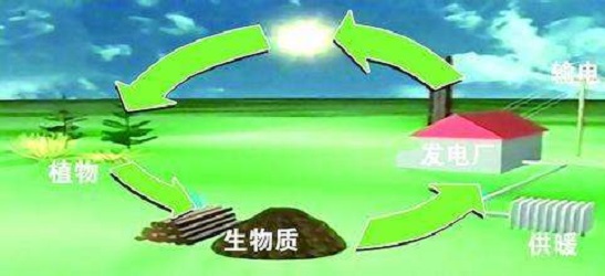 发展生物质燃料的三大作用你知道吗？必威 betway必威(图1)