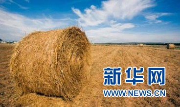 生物质发电缘何“叫好不叫座”？必威 betway必威(图1)