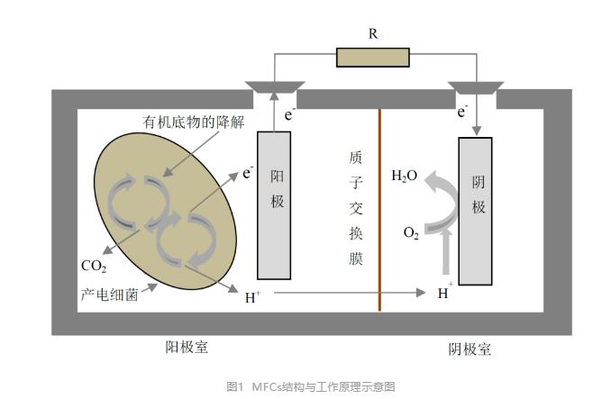 微生物燃料电池处理污水并产能必威 betway必威的潜力分析(图1)