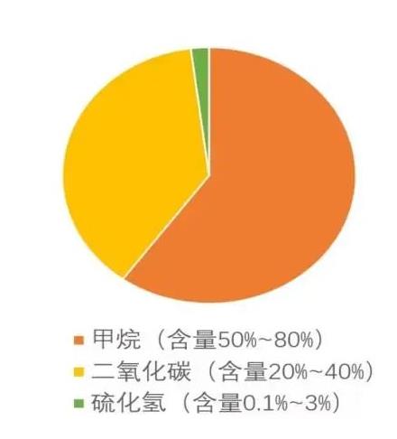 再生能源 欧洲创造生必威 必威betway物甲烷记录——脱碳之“基石”(图1)