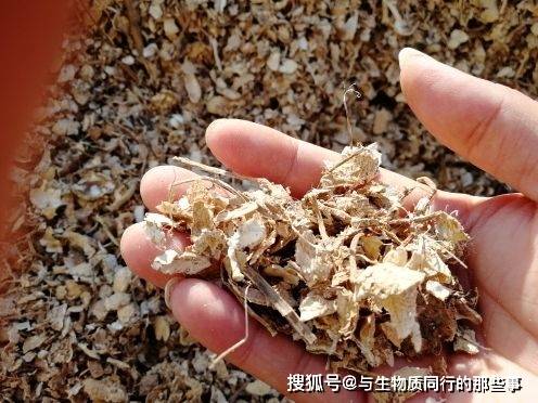 生物质锅炉突出的优点和缺必威 必威betway点有哪些？(图1)