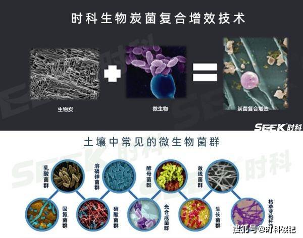 生物质炭的主要的用途体现在哪里？和一般的炭有什么区别？必威 betway必威(图3)