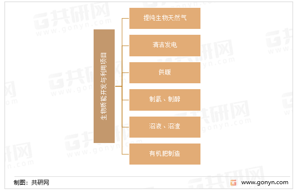 必威 必威betway中国生物质能源市场深度分析与战略咨询(图2)