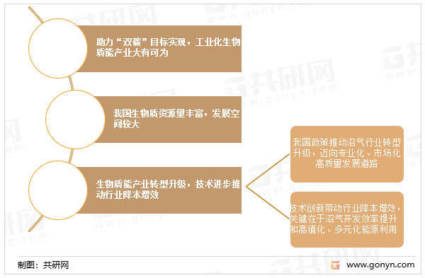 必威 必威betway中国生物质能源市场深度分析与战略咨询(图1)