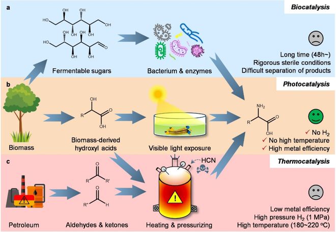 必威 betway必威南林陈祖鹏课题组Angew Chem：单原子钌促进硫化镉光催化生物质衍生酸制备氨基酸(图1)