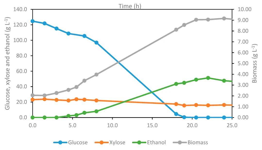 必威 必威betway从蓝桉树皮中获得生物乙醇的纤维素糖生产酶解策略(图2)